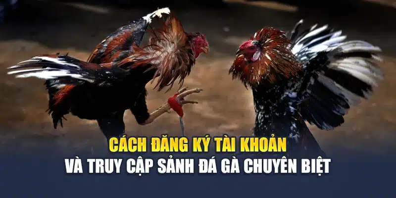 Đá Gà Trực Tiếp M88 – Mãn Nhãn Từng Trận Đấu Kịch Tính 3 Cách đăng ký tài khoản và truy cập sảnh đá gà chuyên biệt