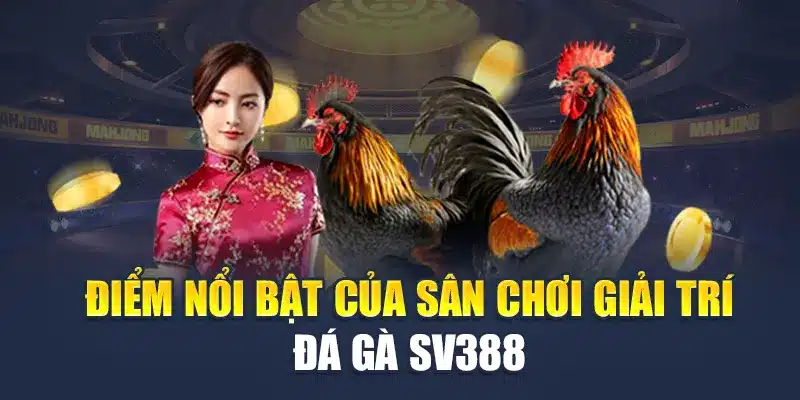 Đá Gà SV388 Tại M88 - Những Ưu Điểm Nổi Bật Hàng Đầu 2 Điểm nổi bật của sân chơi giải trí đá gà SV388